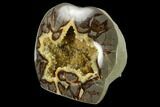 Polished, Crystal Filled Septarian Nodule - Utah #170015-2